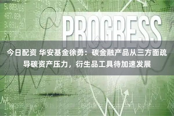 今日配资 华安基金徐勇：碳金融产品从三方面疏导碳资产压力，衍生品工具待加速发展