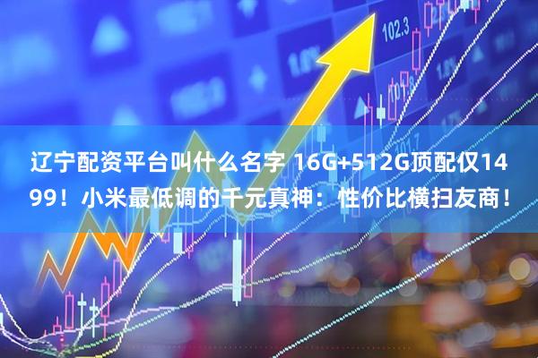 辽宁配资平台叫什么名字 16G+512G顶配仅1499！小米最低调的千元真神：性价比横扫友商！